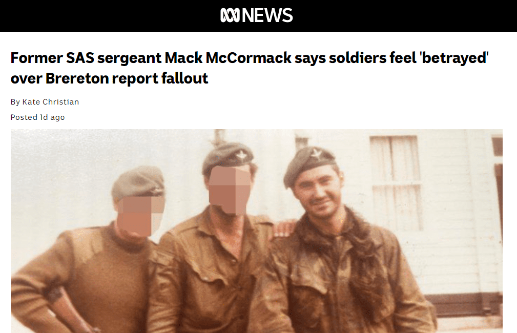 Views of SAS member Brereton Report